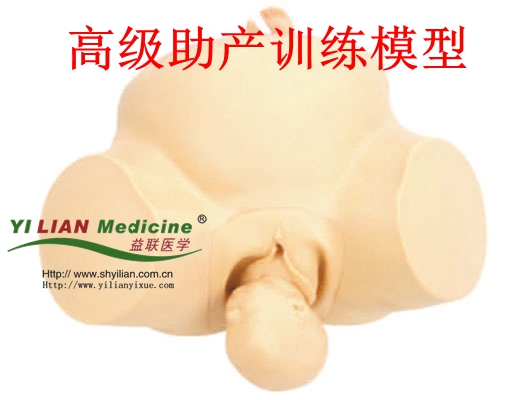助產(chǎn)訓練模型